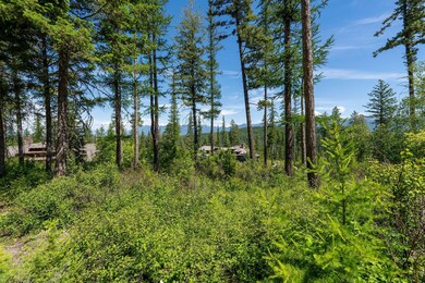 227 Chief Cliff Trail, Bigfork, MT 59911 - photo 4