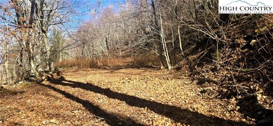 Lot 22 Ski Acres Dr, Blowing Rock, NC 28605 - photo 2