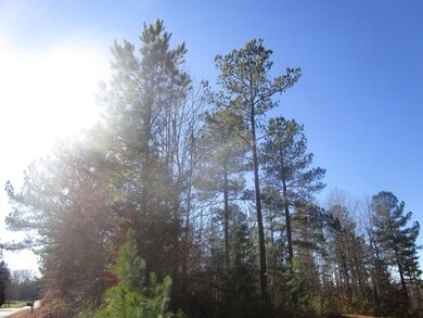 659 Old Mansion Rd, Lunenburg Court House, VA 23952 - photo 3