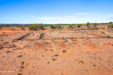 1791 Mountain View Dr, Snowflake, AZ 85937 - photo 7