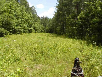 0 Sims Reach Rd, Kingstree, SC 29556 - photo 5