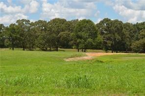 31227 Choctaw Hills Dr, Franklinton, LA 70438 - photo 6