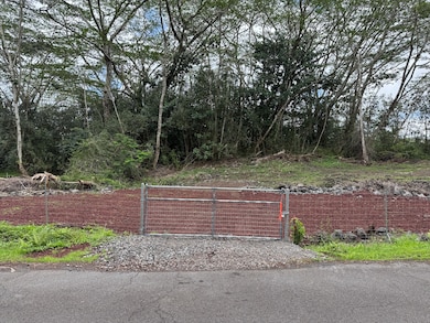 14-657 Kapuna Rd, Nanawale Estates, HI 96778 - photo 2