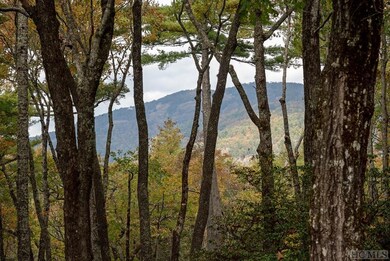 18 Old Hunters Run, Cashiers, NC 28717 - photo 3
