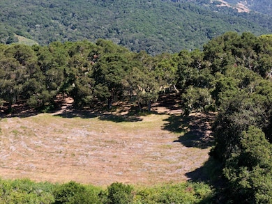 4 Holding Field Run, Carmel-By-the-sea, CA 93923 - photo 4