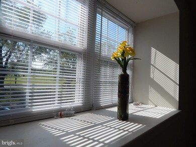 233 Arbour Ct, North Wales, PA 19454 - photo 7