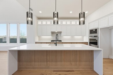 16561 Japanese Maple Dr, Ft. Worth, TX 76247 - photo 3