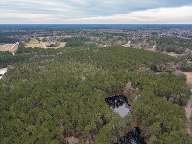 0 Louisiana 21, Bush, LA 70431 - photo 4