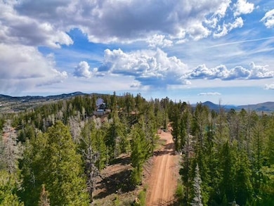 DJI_0557