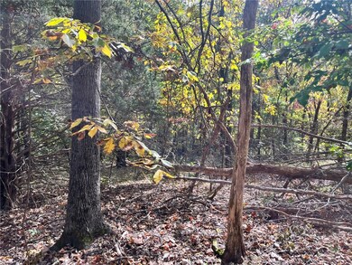 0 Welden Cir unit 1259470, Bella Vista, AR 72715 - photo 6