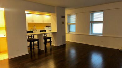 40 E 9th St unit 312, Chicago, IL 60605 - photo 6