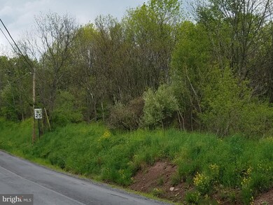 0 Snowdrift Rd unit PASK130924, Schuylkill County, PA 18211 - photo 2