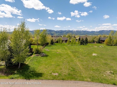 02-8041 Brown Trout Bend-2