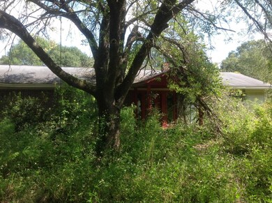 image3[1]