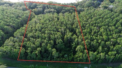 TBD SE 170th Ave, Ocklawaha, FL 32179 - photo 4