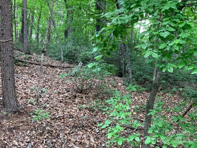 0 Roundabout Rd unit 35 CAR4252951, Lake Lure, NC 28746 - photo 3