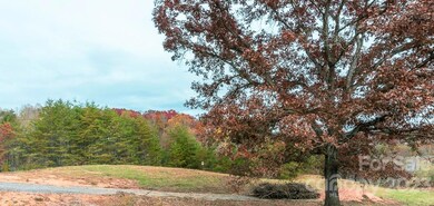 00000 Tweed Rd unit 1, Leicester, NC 28748 - photo 3