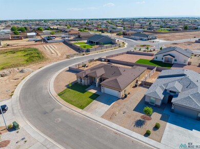 3813 S Sunnyview Ave, Carlsbad, NM 88220 - photo 5