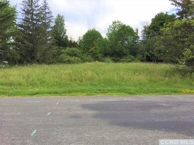 0 Constantine Ct unit 136708, Athens, NY 12015 - photo 3