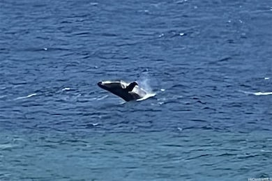 0 Hoolawa Rd unit 202502552, Haiku, HI 96708 - photo 4