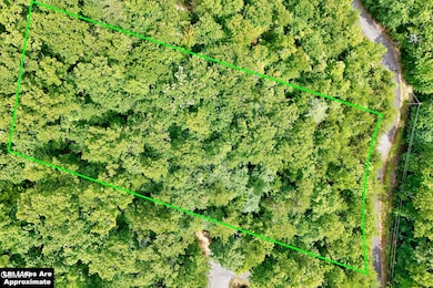 2743 Overholt Trail, Sevierville, TN 37862 - photo 6