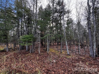 TBD Skanee Rd, Skanee, MI 49962 - photo 5