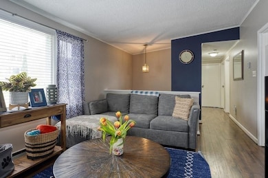 70 Wedgewood Rd, Worcester, MA 01602 - photo 5