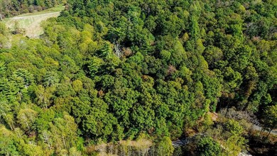 3468 Fir Ln, Ellijay, GA 30540 - photo 5