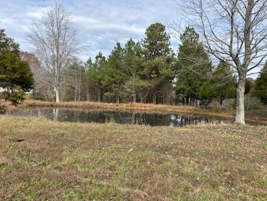 00 Bard Rd, Greenville, KY 42345 - photo 3