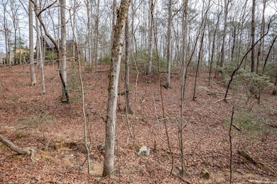 454, 455 Seneca Dr, Ellijay, GA 30540 - photo 4