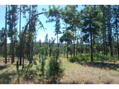 0 Pine Creek Rd unit 3 12336471, Bickleton, WA 99322 - photo 6