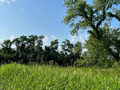 24 Old Chestnut Ridge Rd, Petersburg, TN 37144 - photo 6