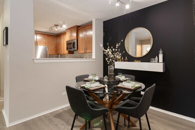 1691 Buttonwood Cir unit 2713, Schaumburg, IL 60173 - photo 7