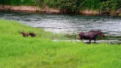 60 Pillick Ridge Ln, Noxon, MT 59853 - photo 5