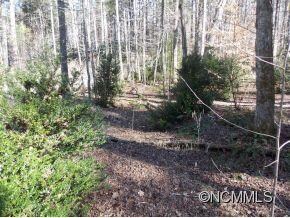 1537 Pleasant Grove Rd, Hendersonville, NC 28739 - photo 2