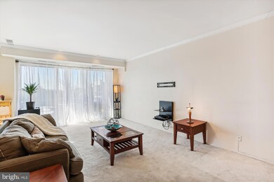 Americana Finnmark unit 706, Silver Spring, MD 20902 - photo 6