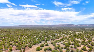 dji_fly_20250530_130254_0020_17487150024