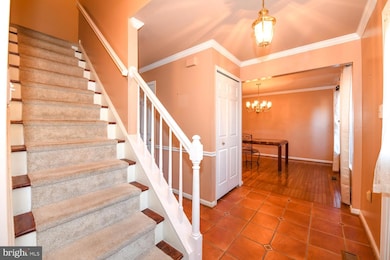 14903 Running Ridge Ln, Silver Spring, MD 20906 - photo 6