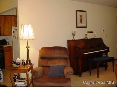 15 Sherry Ln unit 1, Rochester, IL 62563 - photo 5