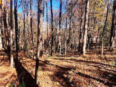 115 Beacon Ridge Cir, Keowee Key, SC 29676 - photo 6