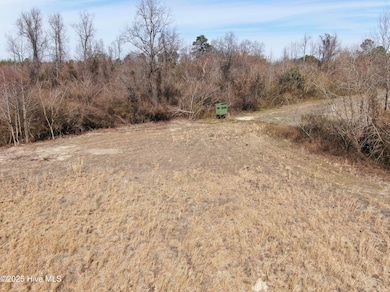 00 Trail End Ln, Newton Grove, NC 28366 - photo 2
