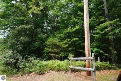 00 Michigan Avenue 0 Michigan Ave, Au Gres, MI 48703 - photo 2