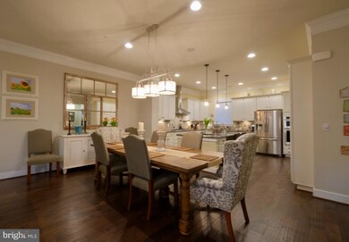 729 E Custis Ave, Alexandria, VA 22301 - photo 4