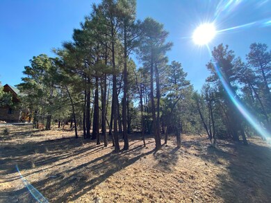 Tall Pines