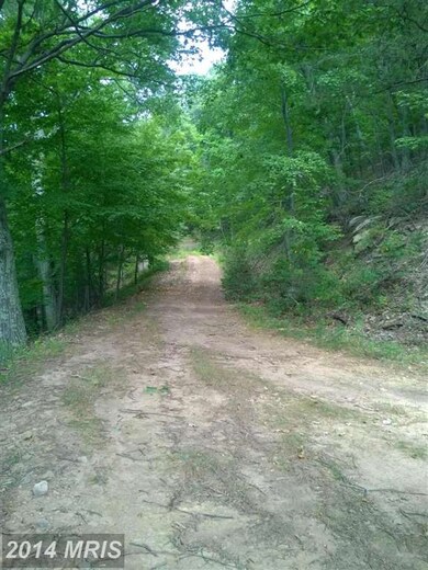 0 Bald Eagle Ln unit 1003177570, Great Cacapon, WV 25422 - photo 5