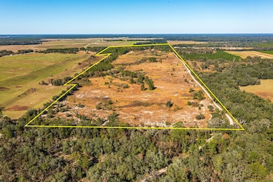 18715 SW Archer Rd, Archer, FL 32618 - photo 6