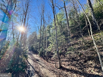 0 Mule Branch Rd unit 10655521, Helen, GA 30545 - photo 5