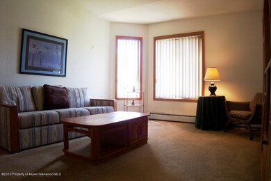 unlisted-address, Parachute, CO 81635 - photo 7