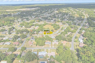 2305 W Nautilus Dr, Citrus Springs, FL 34434 - photo 7