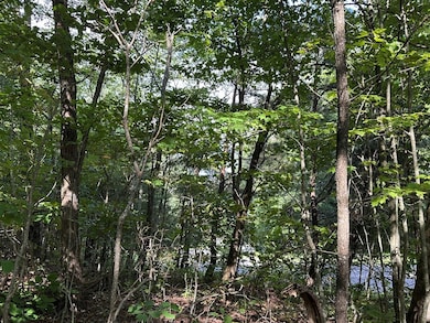 257 Andes Ridge, Ellijay, GA 30436 - photo 7